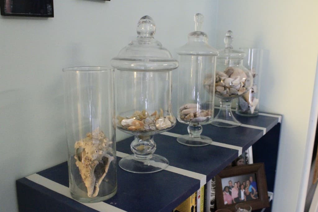 Seashell Display Shelf - Charleston Crafted