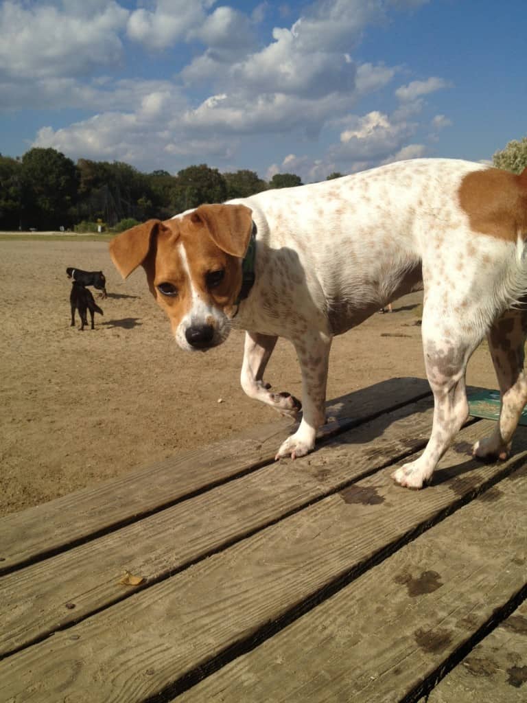 James Island County Park - Charleston Crafted