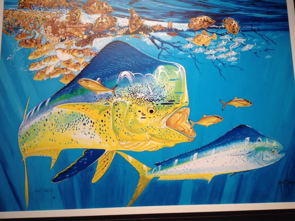 South Carolina Aquarium - Charleston Crafted