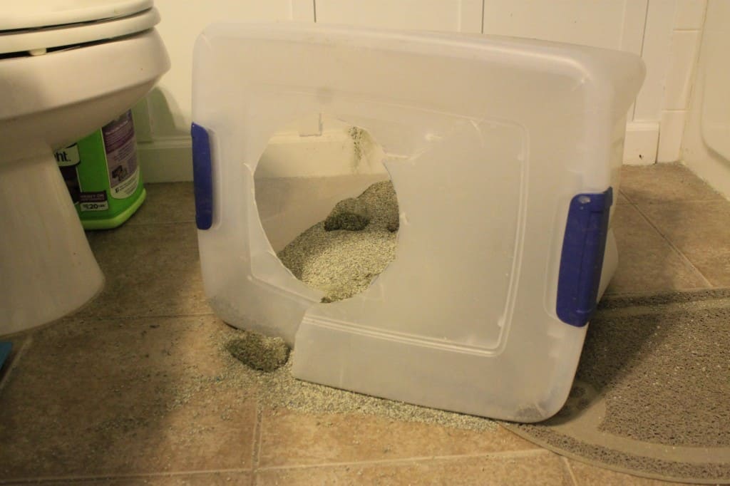 Make a Litter Box Unflippable - Charleston Crafted