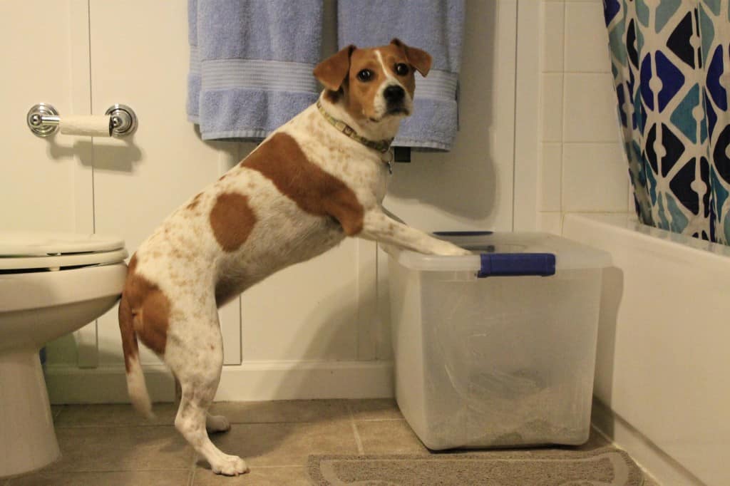 Make a Litter Box Unflippable - Charleston Crafted