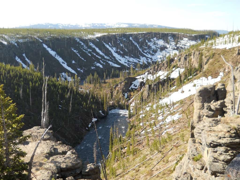 Yellowstone National Park - Charleston Crafted