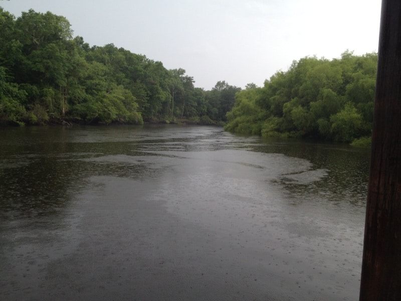Edisto River Float - Charleston Crafted