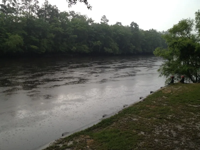 Edisto River Float - Charleston Crafted