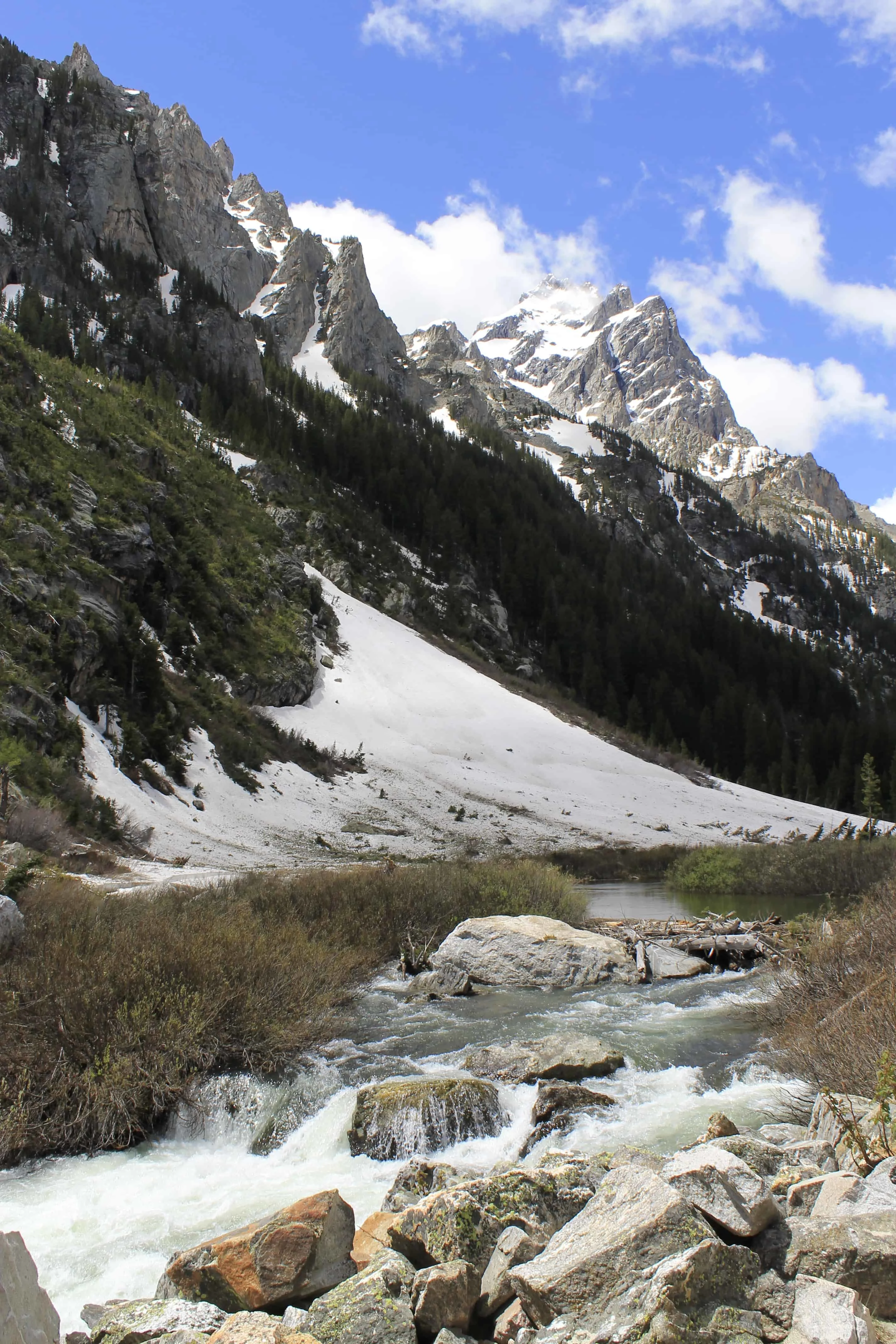 Grand Teton National Park - Charleston Crafted