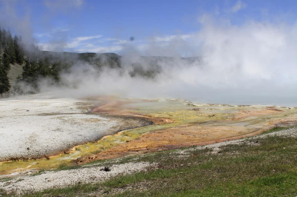 Yellowstone National Park - Charleston Crafted