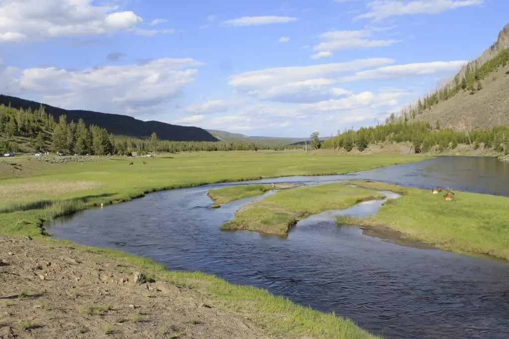 Yellowstone National Park - Charleston Crafted