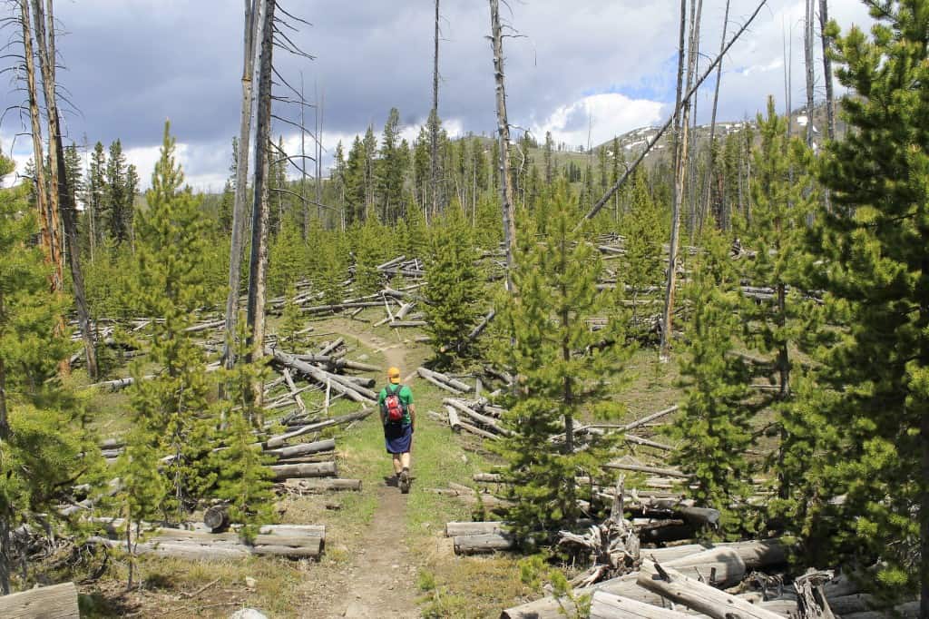 Yellowstone National Park - Charleston Crafted