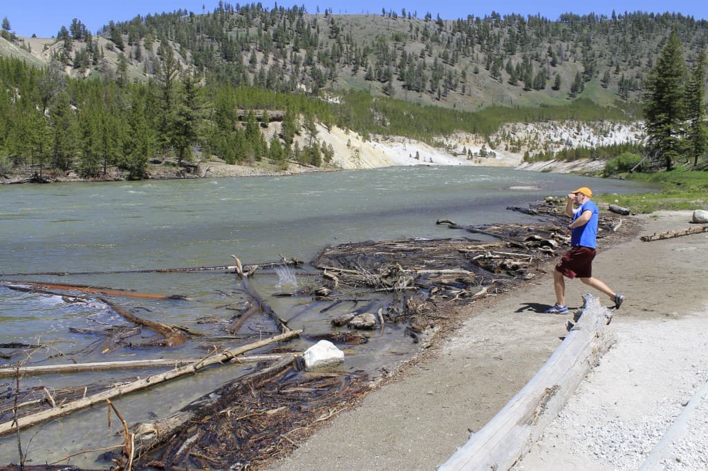 Yellowstone National Park - Charleston Crafted