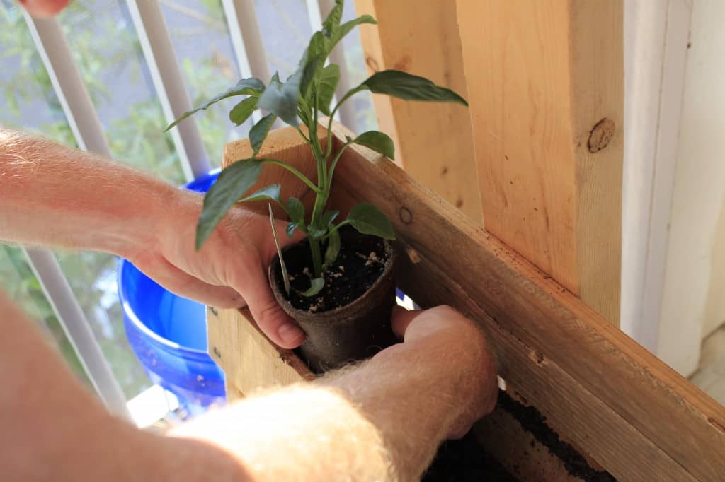 Vertical Herb Garden - Charleston Crafted