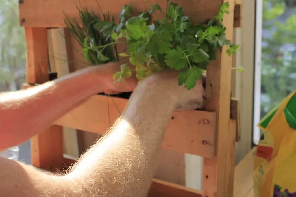 Vertical Herb Garden - Charleston Crafted