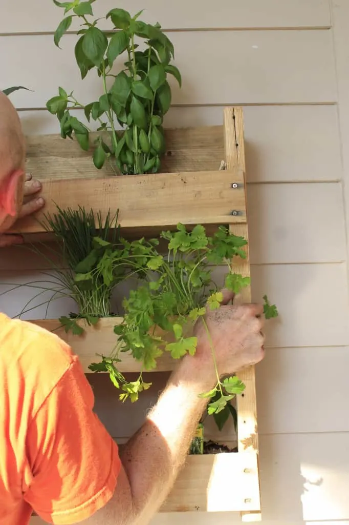 Vertical Herb Garden - Charleston Crafted