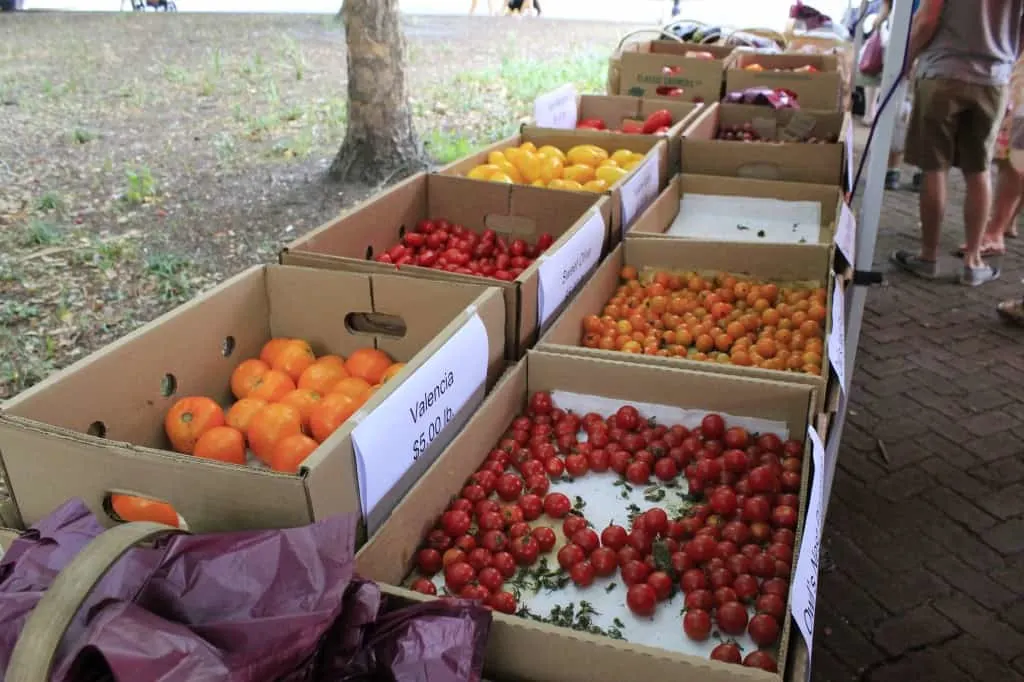 Charleston Farmers Market - Charleston Crafted