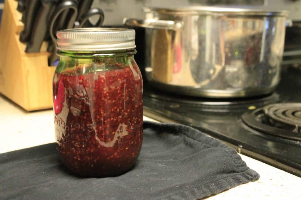 Easy Raspberry Jelly - Charleston Crafted