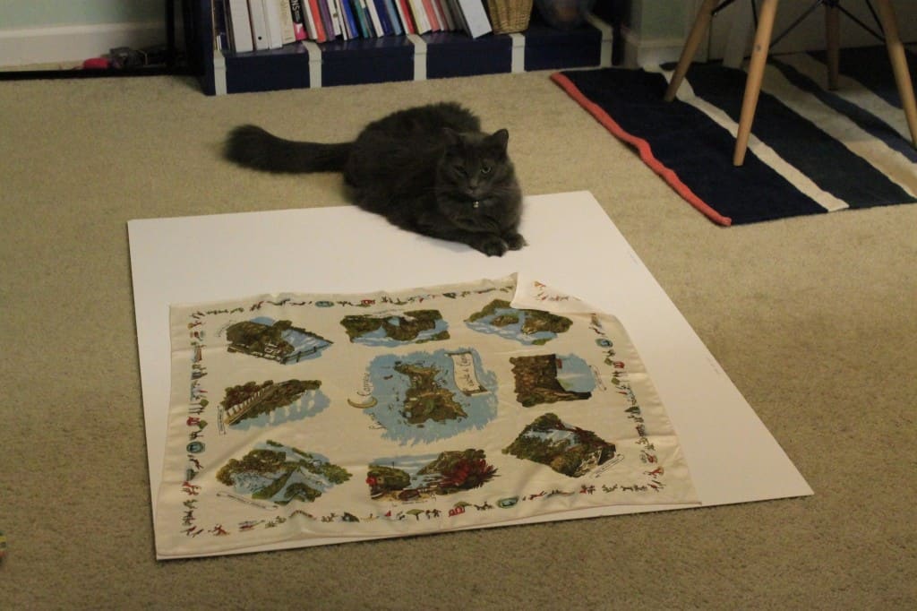 A photo of a square silk scarf lying on ground with cat sitting nearby