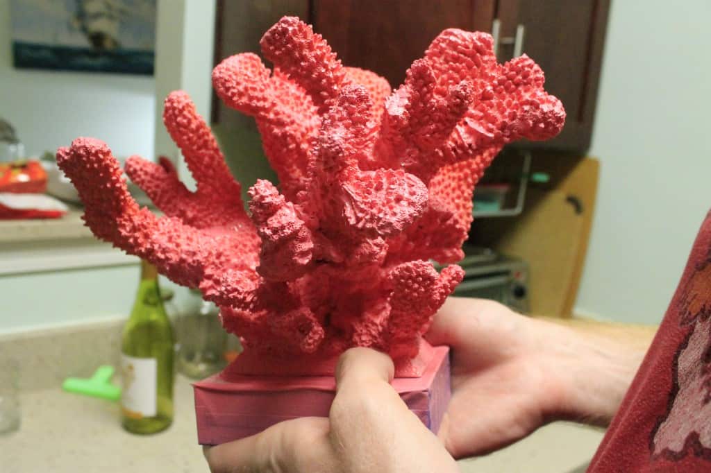 Spray Painting Coral - Charleston Crafted