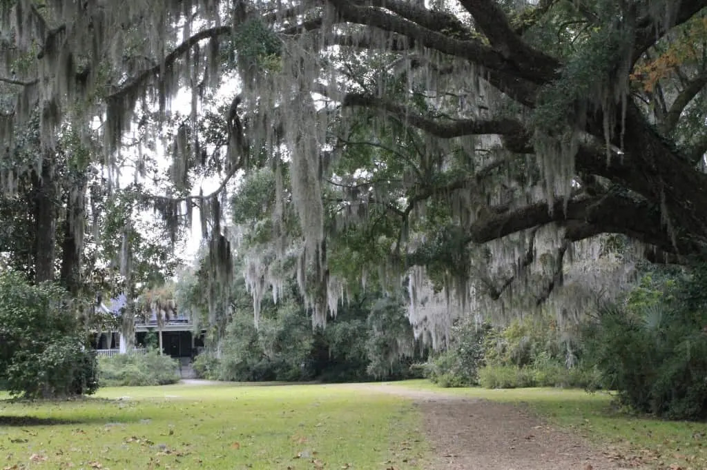 101 in 1001 Magnolia Plantation - Charleston Crafted