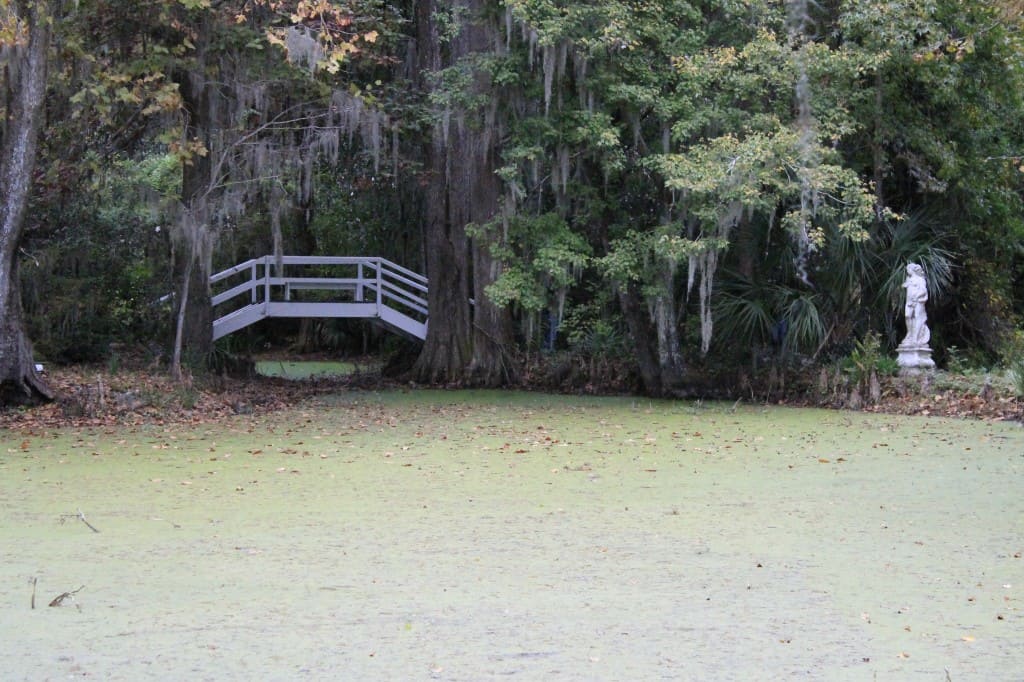 101 in 1001 Magnolia Plantation - Charleston Crafted