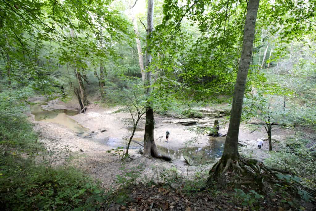 Mammoth Cave National Park - Charleston Crafted