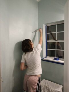 Painting the half bath Sherwin Williams Watery - Charleston Crafted