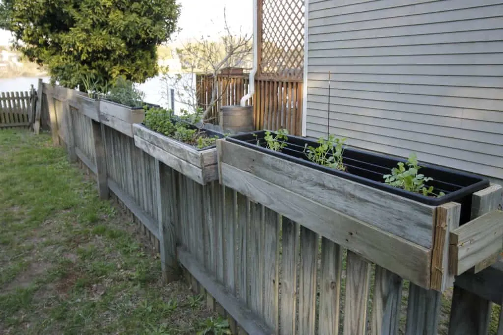 DIY Hanging Fence Planters - Charleston Crafted