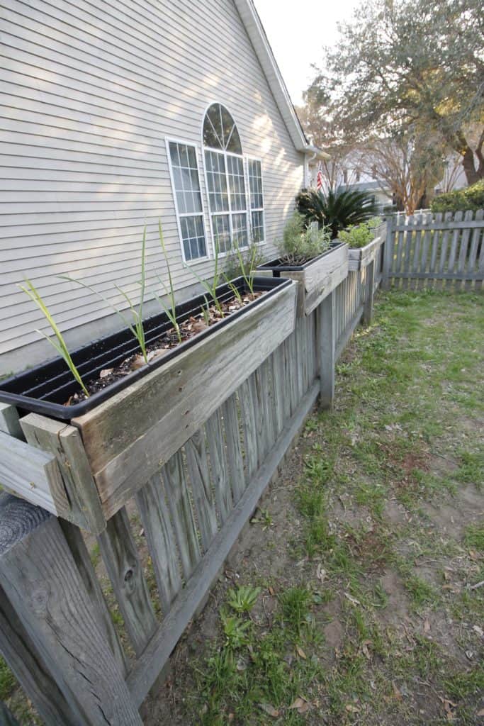 DIY Hanging Fence Planters - Charleston Crafted