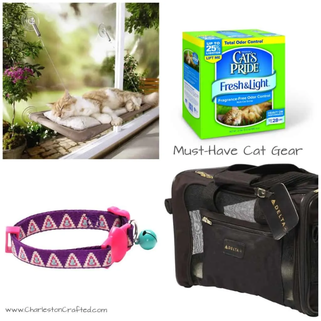 Must Have Cat Gear - Charleston Crafted