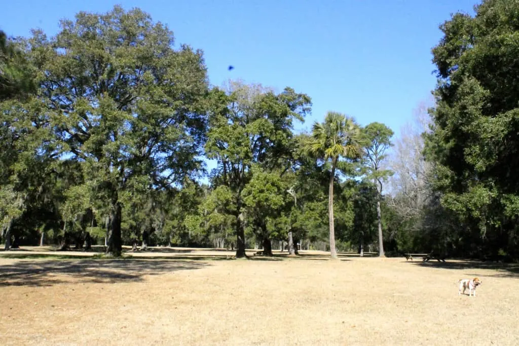 Laurel Hill County Park - Charleston Crafted