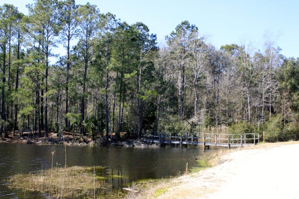 Laurel Hill County Park - Charleston Crafted