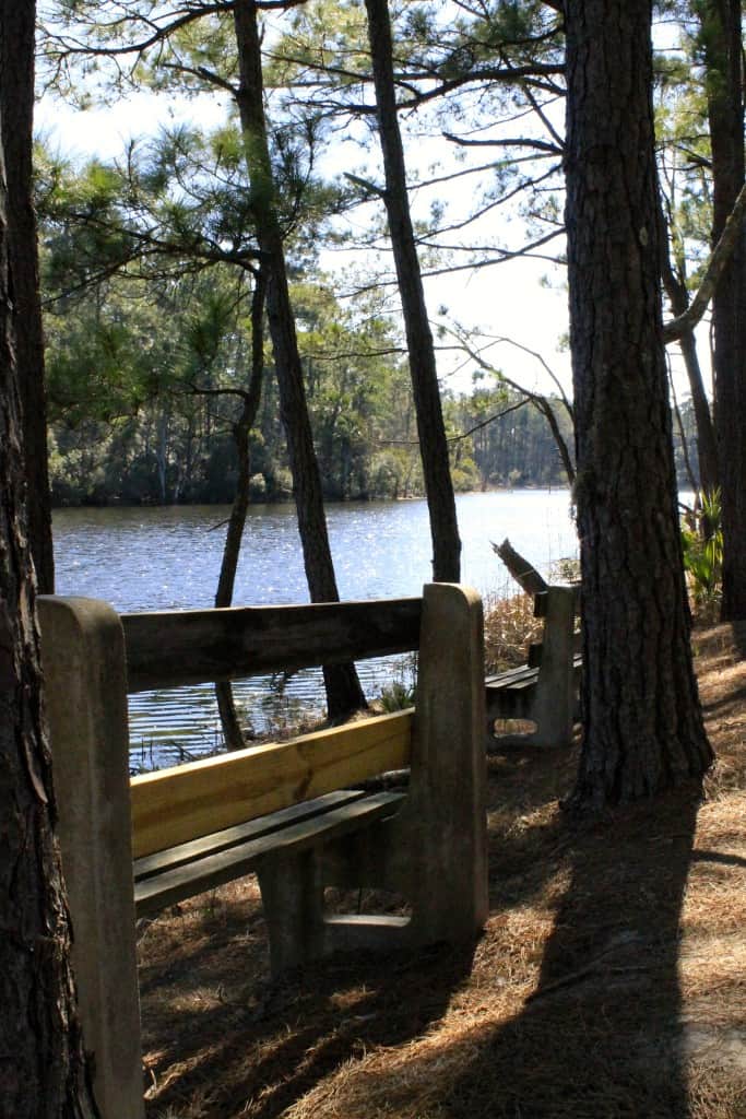 Laurel Hill County Park - Charleston Crafted