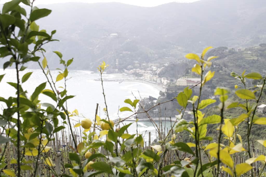 Hiking Cinque Terre - Charleston Crafted