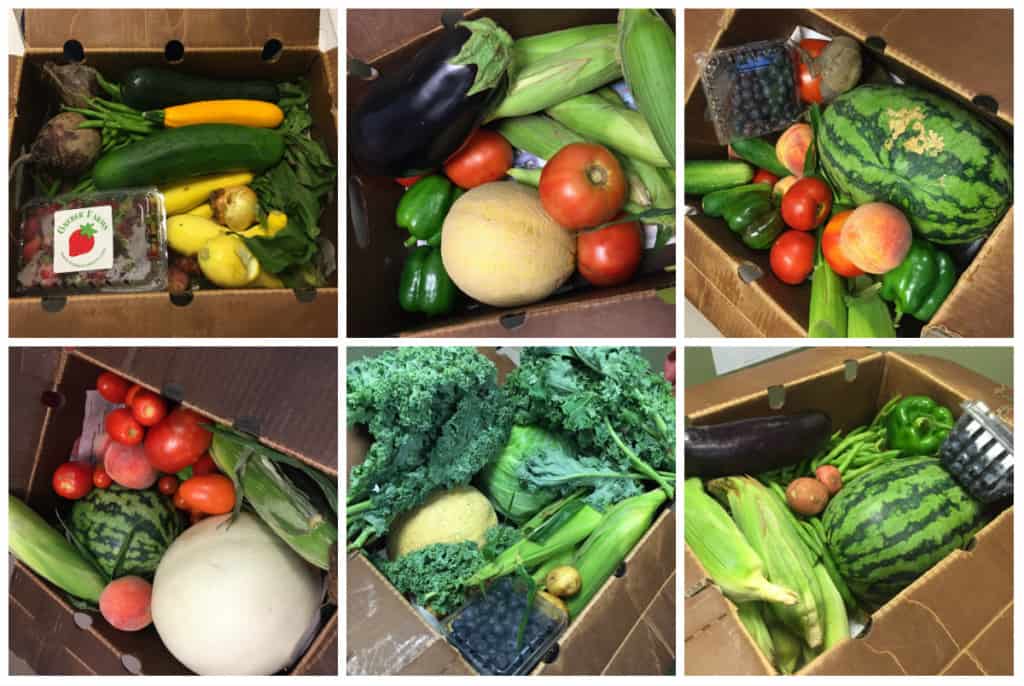 CSA Produce Box Review - Charleston Crafted