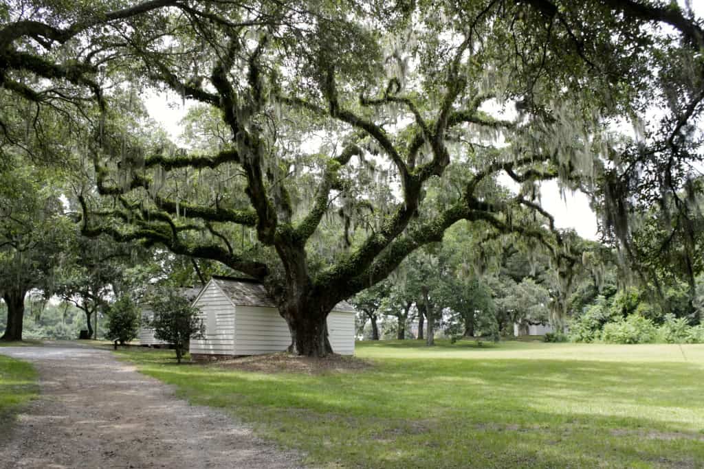 McLeod Plantation on James Island - Charleston Crafted