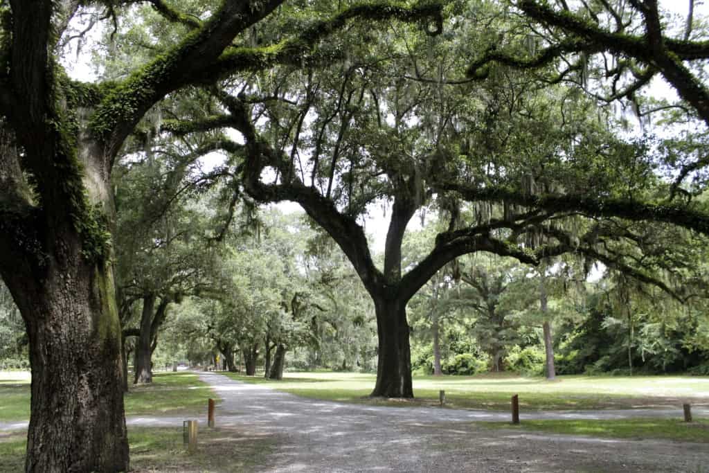 McLeod Plantation on James Island - Charleston Crafted