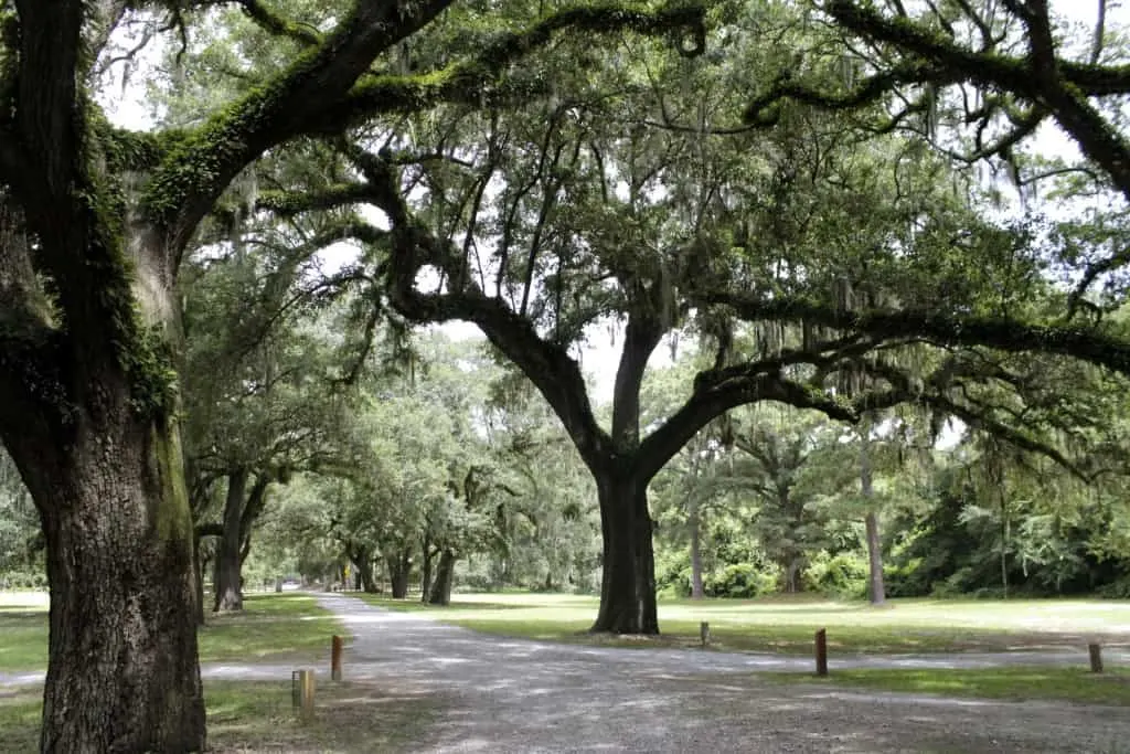 McLeod Plantation on James Island - Charleston Crafted