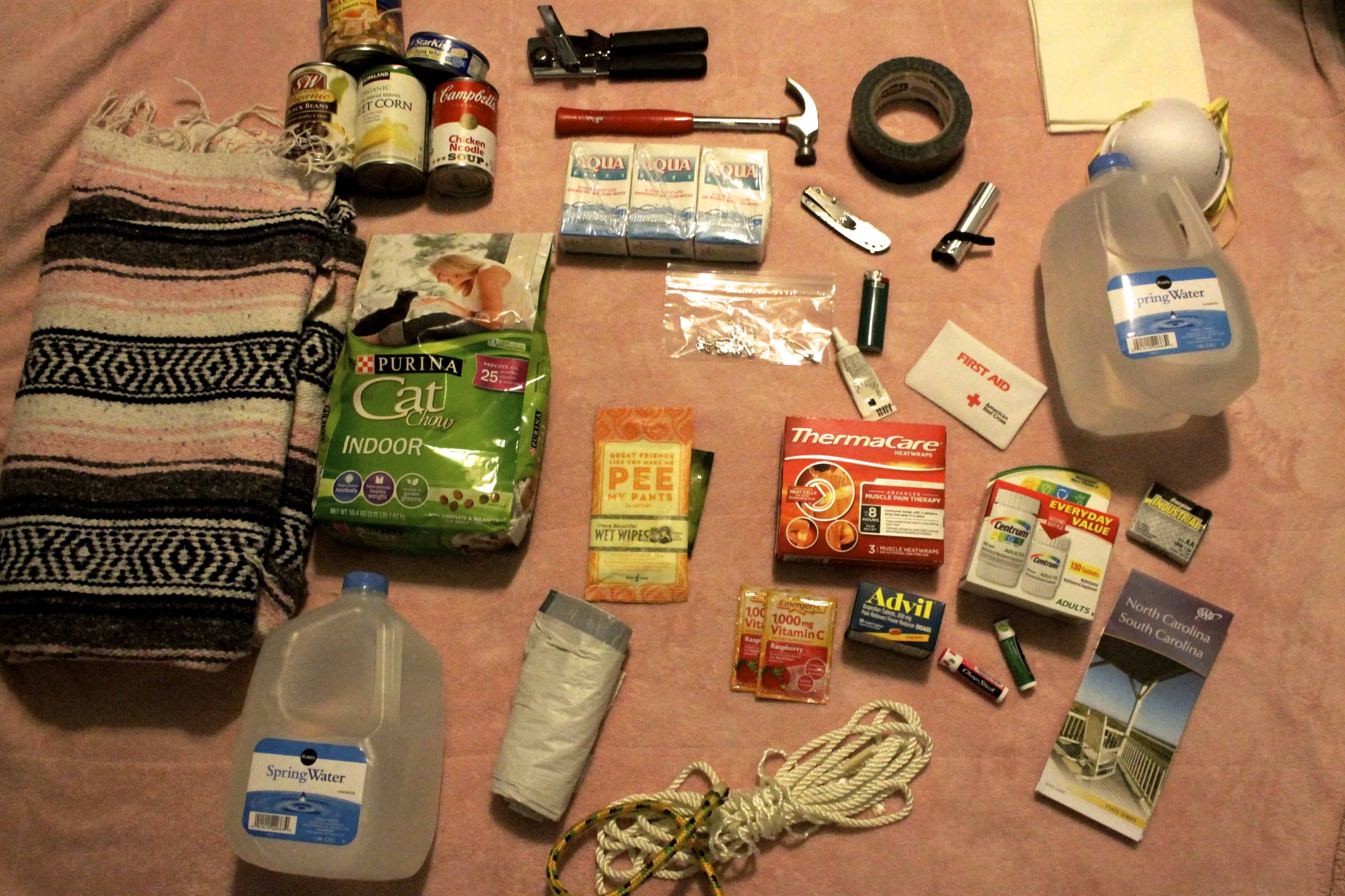 101 in 1001: A Zombie Apocalypse Survival Kit