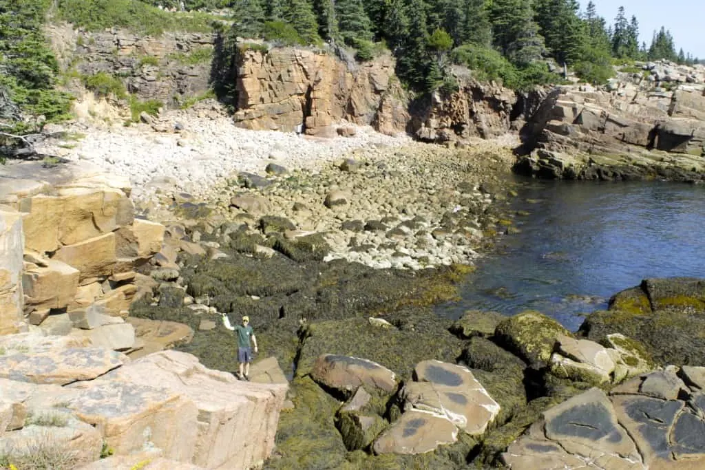 Acadia National Park - Charleston Crafted