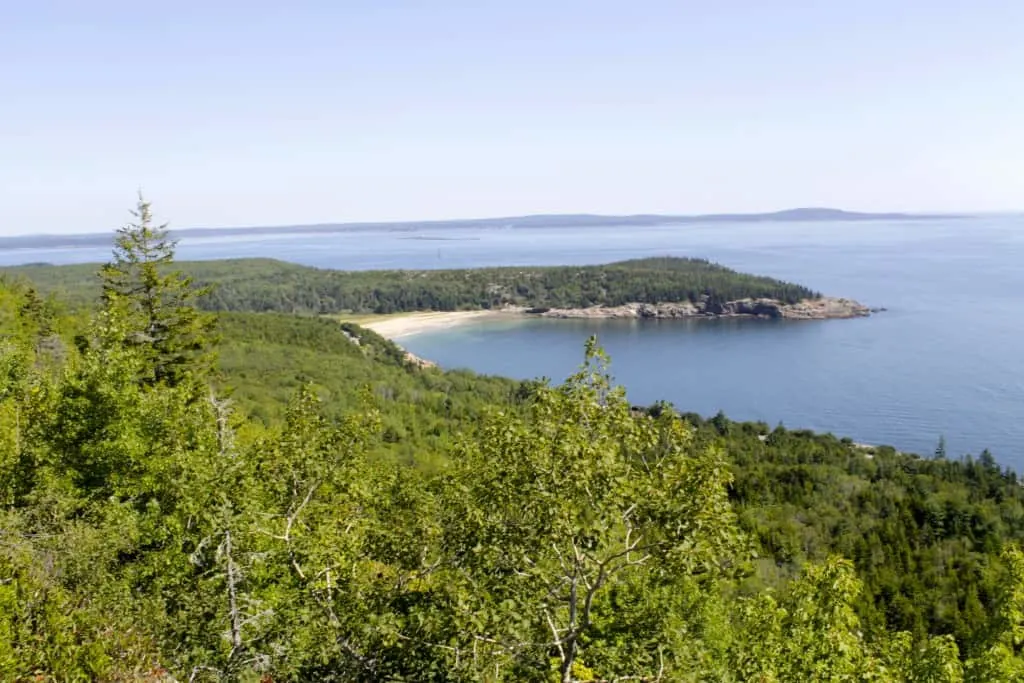 Acadia National Park - Charleston Crafted