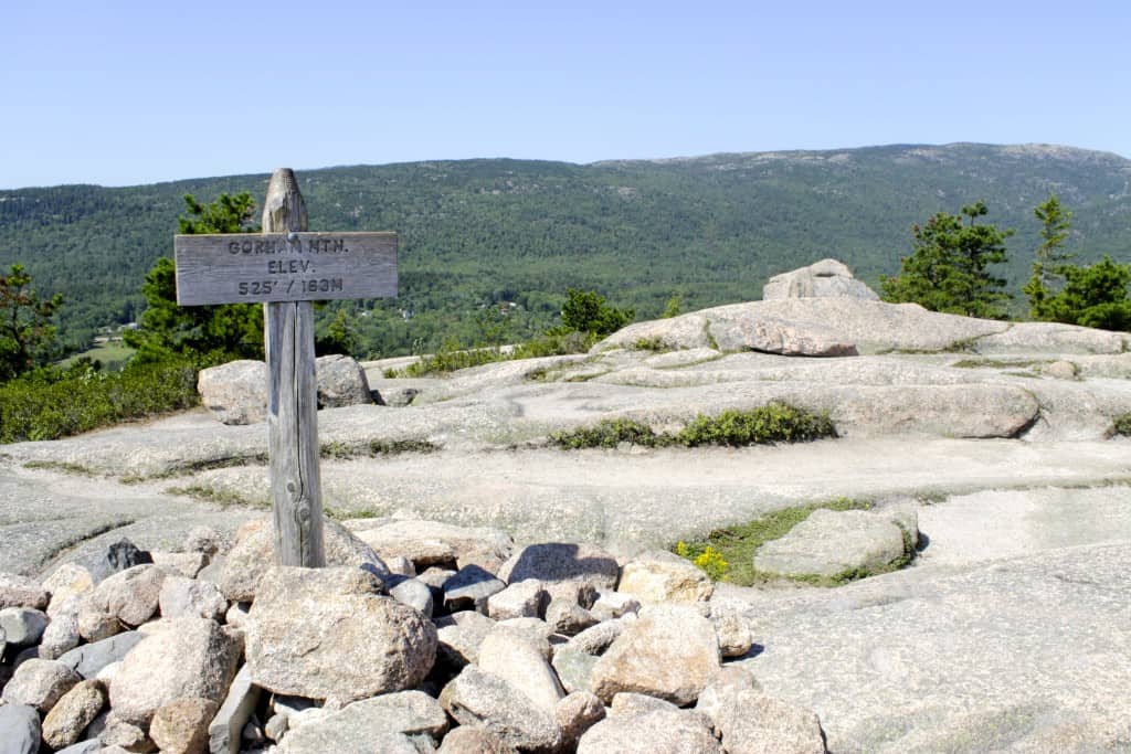 Acadia National Park - Charleston Crafted