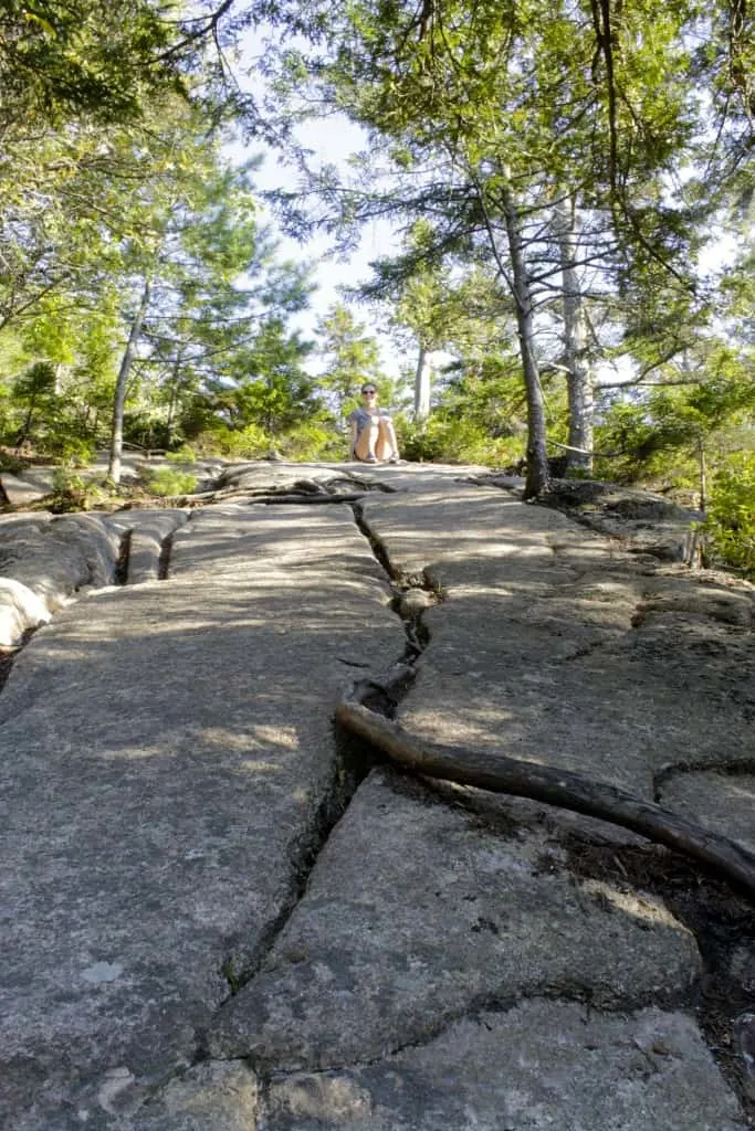 Acadia National Park - Charleston Crafted