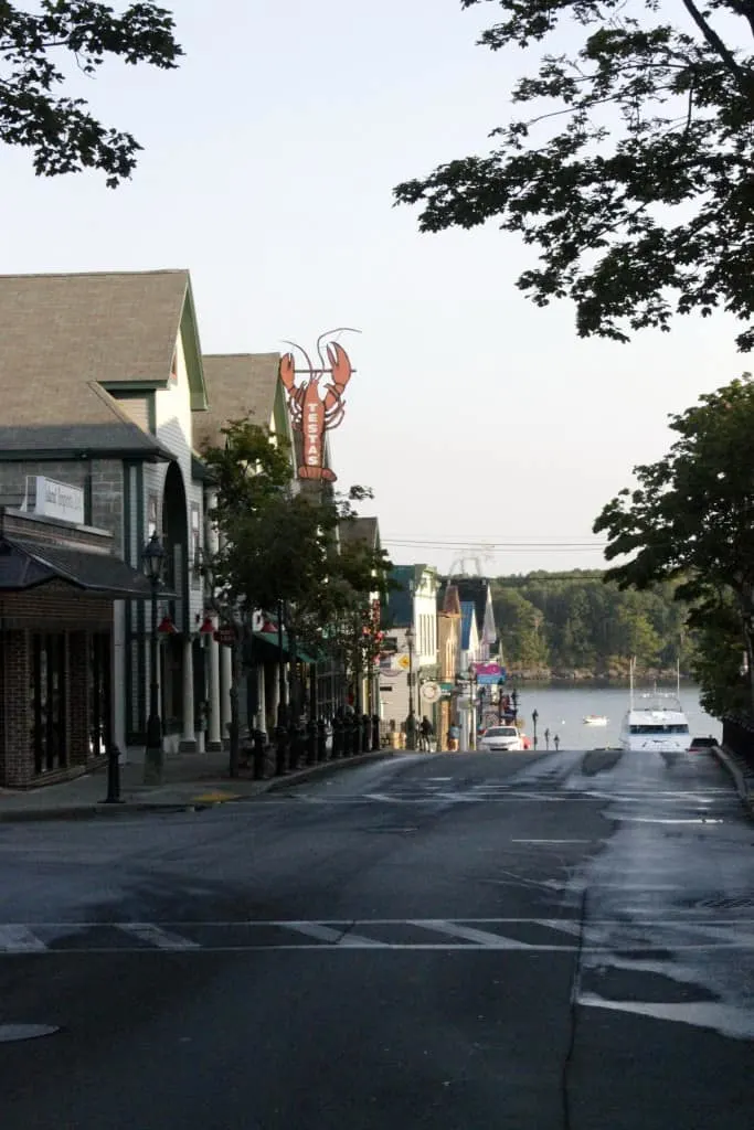 Acadia National Park - Charleston Crafted