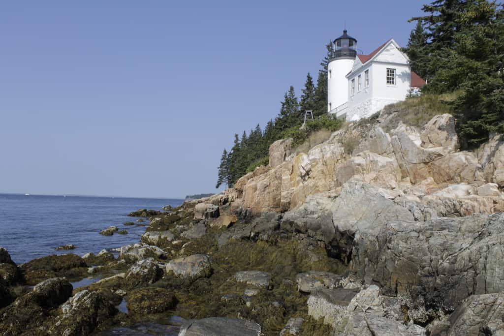 Acadia National Park - Charleston Crafted