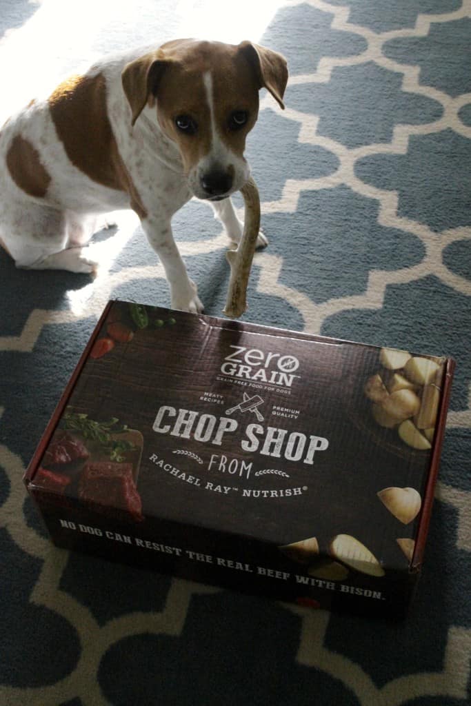 Rachael Ray Nutrish Dog Food - Charleston Crafted