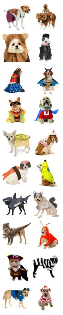 20 awesome pet halloween costumes