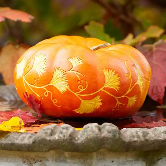 Carved Pumpkin by Lowes