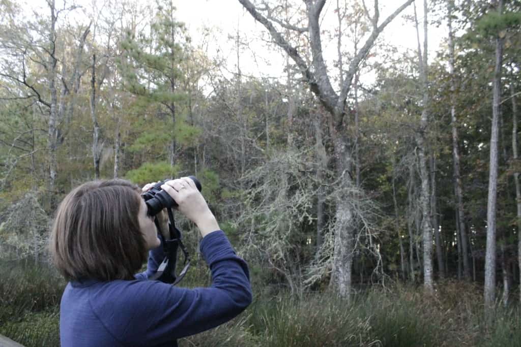 Caw Caw Interpretive Center - Charleston Crafted