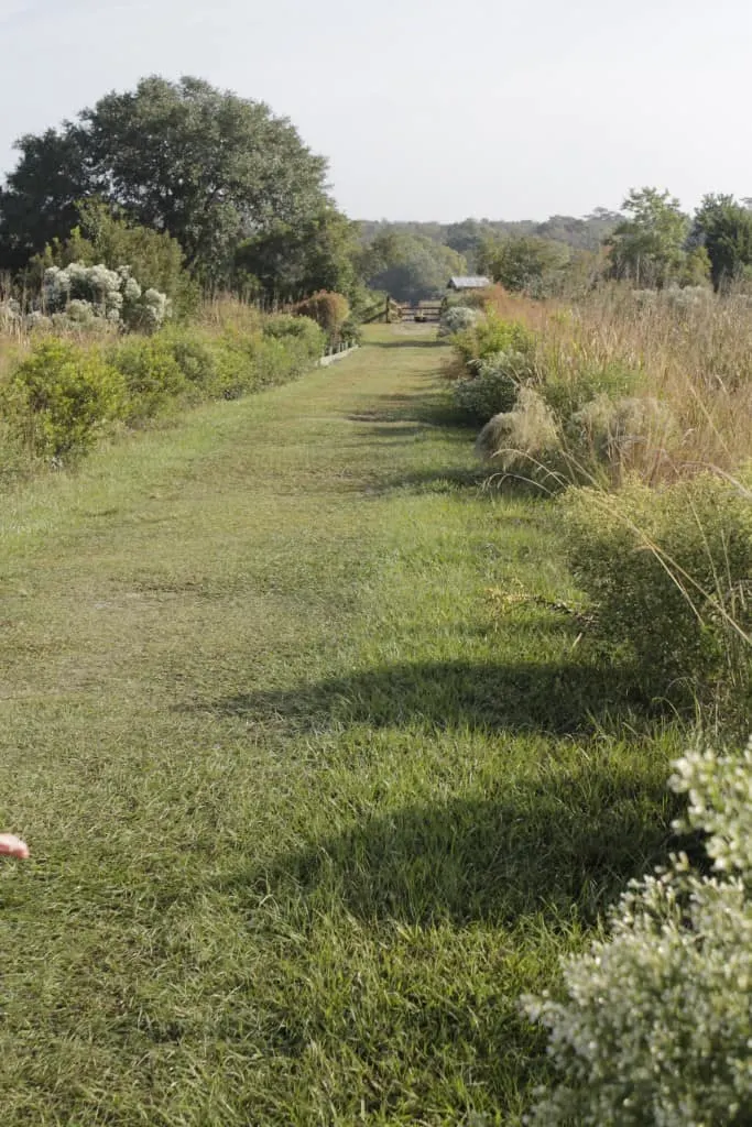 Caw Caw Interpretive Center - Charleston Crafted