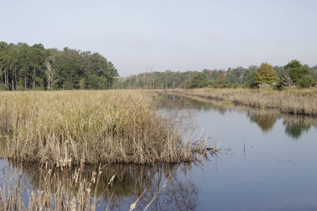 Caw Caw Interpretive Center - Charleston Crafted