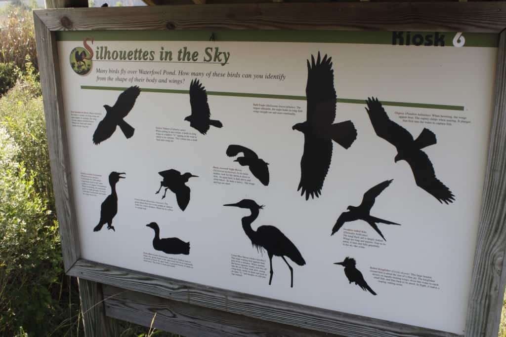 Caw Caw Interpretive Center - Charleston Crafted