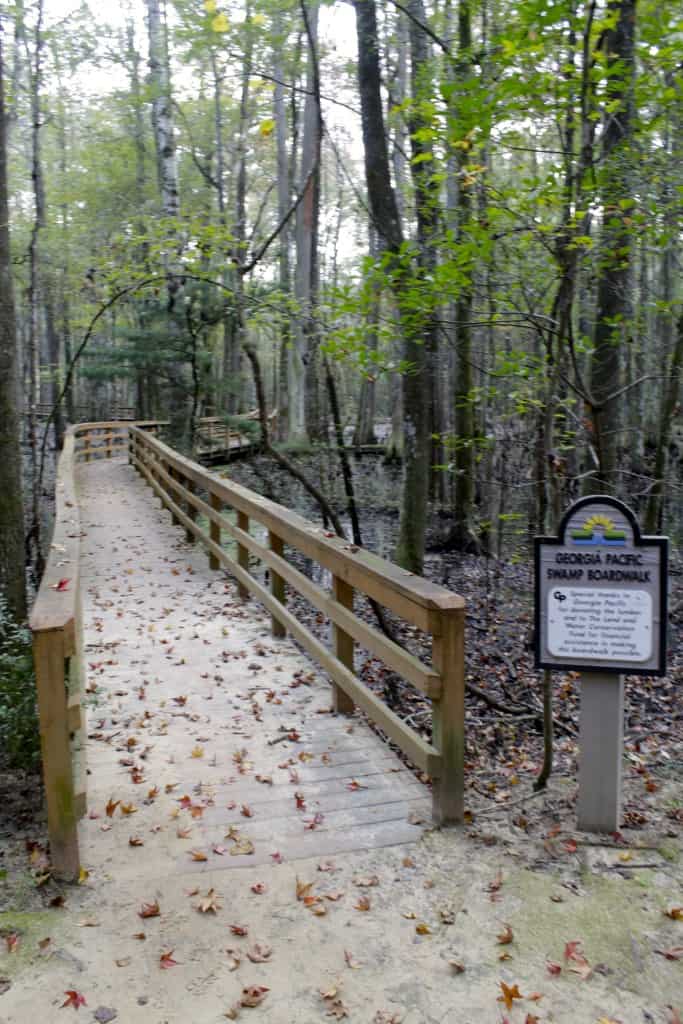 Caw Caw Interpretive Center - Charleston Crafted